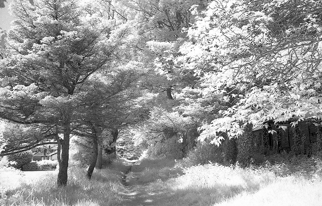 Valanties, Bangor, Northern Ireland