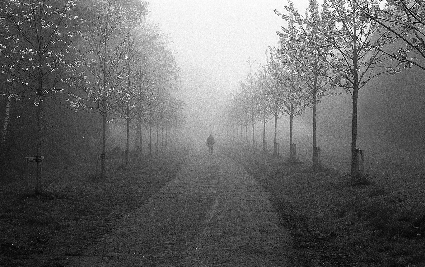 Castle Park, Bangor, Northern Ireland