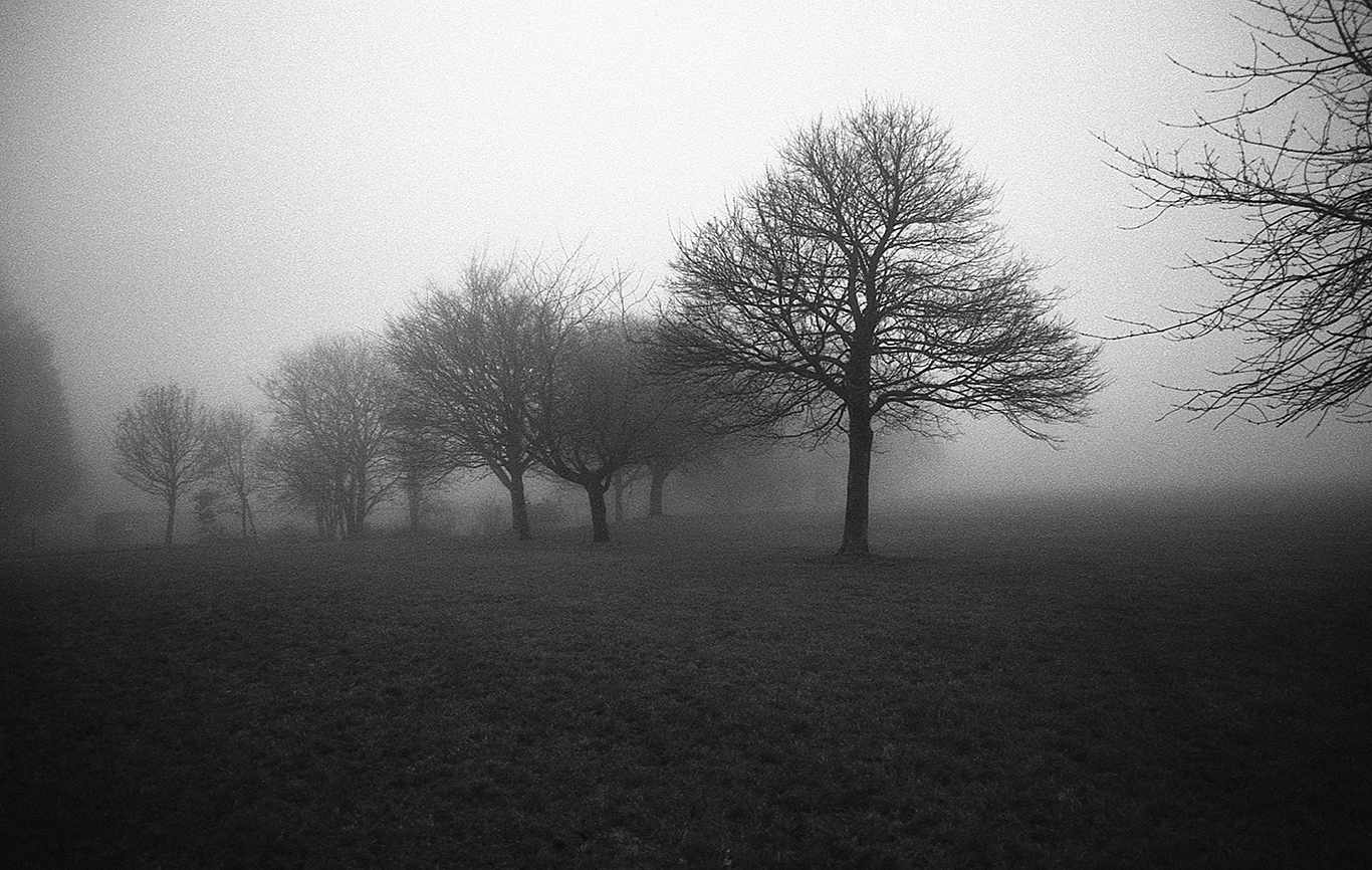 Ward Park, Bangor, Northern Ireland